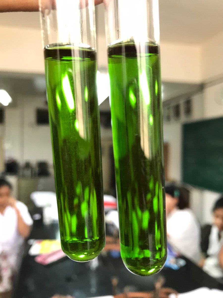 Chlorophyll Extract