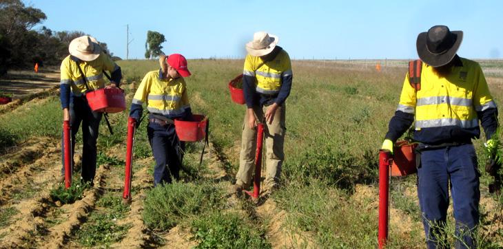 Carbon Project Aggregation