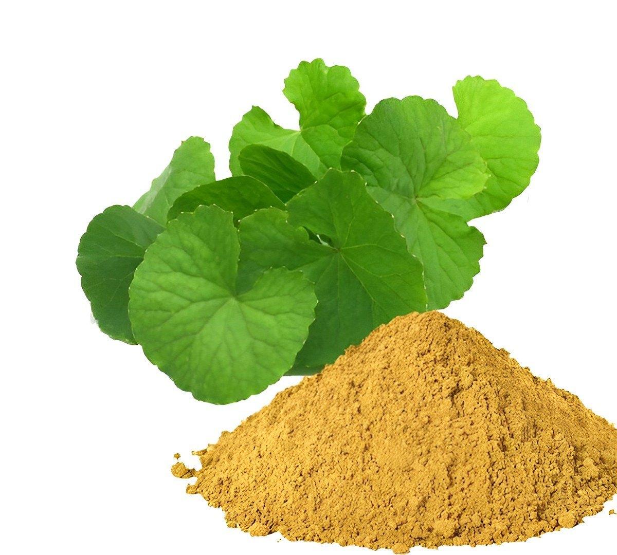 Brahmi Extract (Water Hyssop / Bacopa)