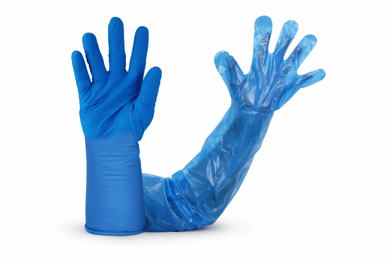 Gloves (Latex & Nitrile)